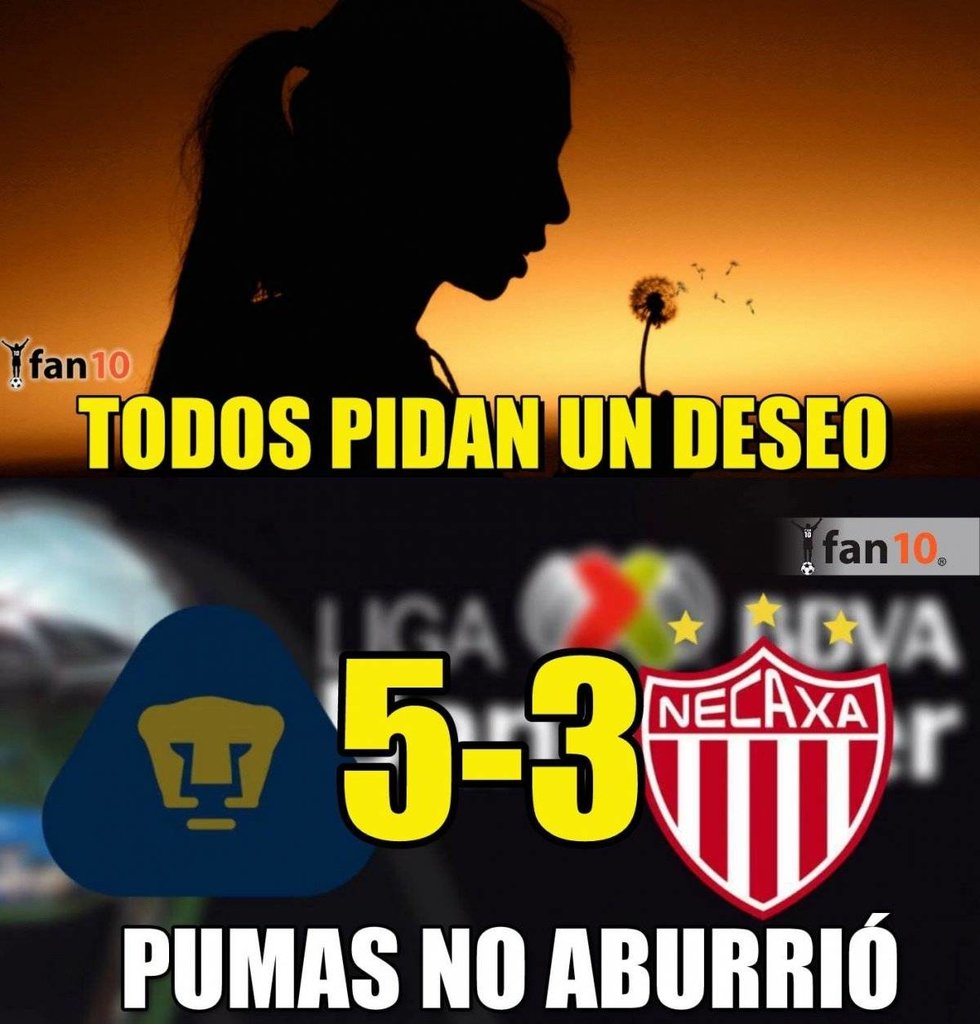 Pumas vs Necaxa memes 2018